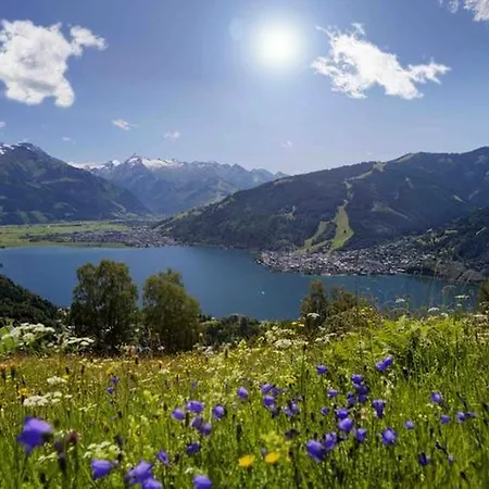 Apartment Studio-apartment Areit Zell am See